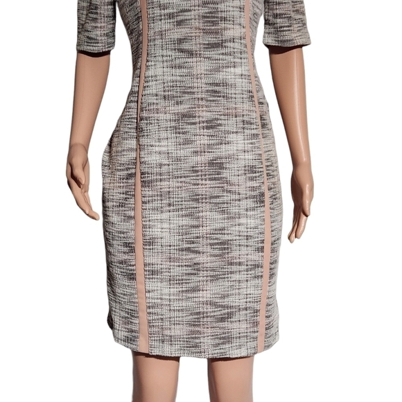 CONNECTED Apparel Crew Neck Short Sleeve Panel Knit Dress Blush Size: 8 - Picture 3 of 6